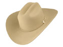 Stetson Sentry Western Cowboy Hat *Online only*