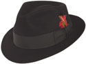 Biltmore Stewart Fedora
