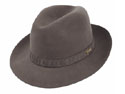 Biltmore Hudson Rosellini Link Fedora Hat
