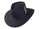 Stetson Dunes Western Hat