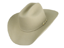 Stetson Sierra Western Hat