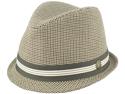 Goorin Paddy Wagon Hat