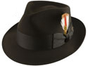 Biltmore Stewart Fedora