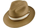 Dobbs Carleton Straw Hat