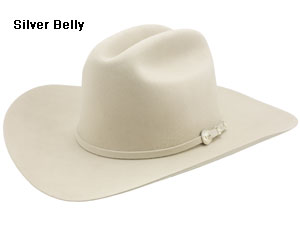 Stetson Sentry Western Cowboy  Hat